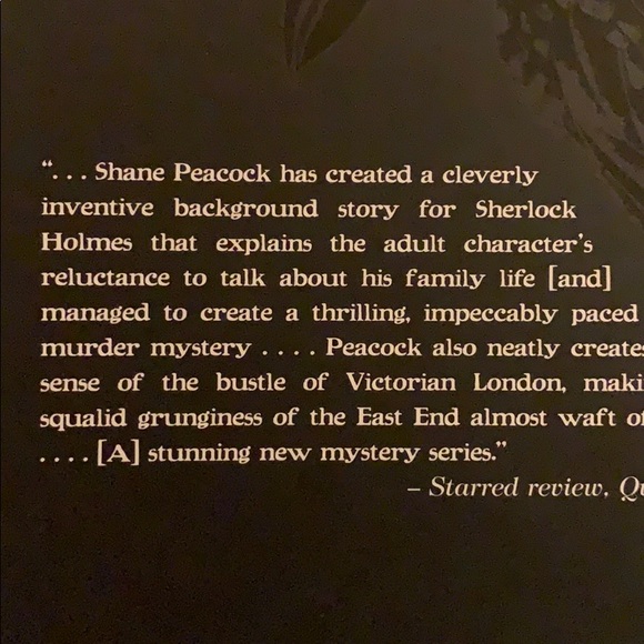 The Boy Sherlock Holmes - Picture 4 of 6